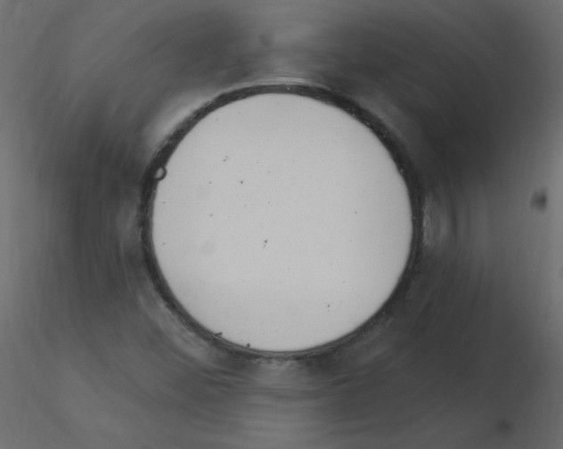 X0000115851452200912242028