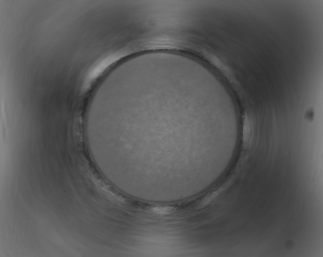 X0000115851453200912242028