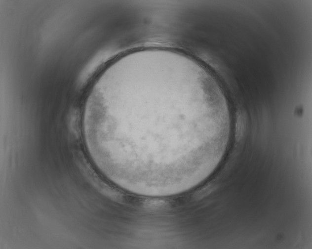 X0000115851454200912242028