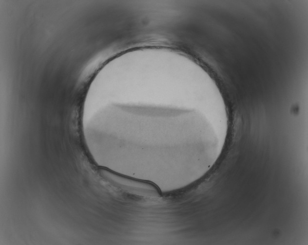 X0000115851455200912242028