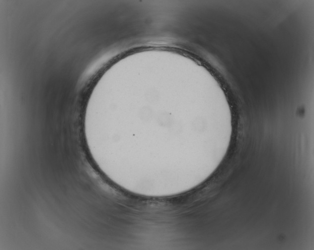 X0000115851456200912242028