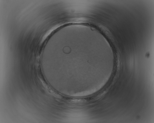 X0000115851457200912242027
