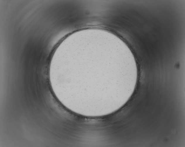 X0000115851458200912242027