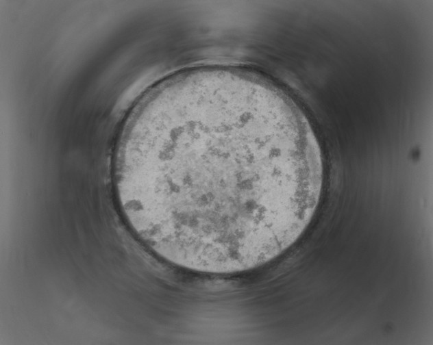 X0000115851459200912242027