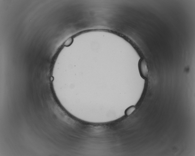 X0000115851460200912242027