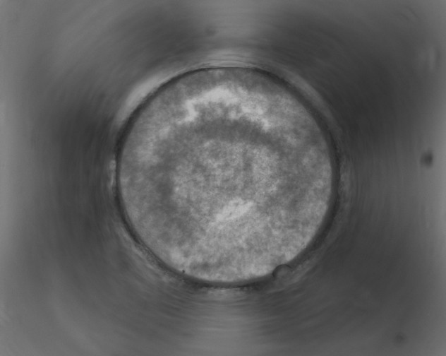 X0000115851461200912242027