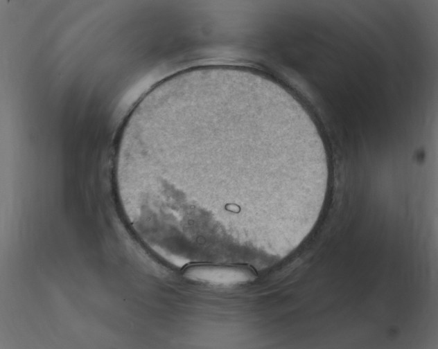 X0000115851463200912242027