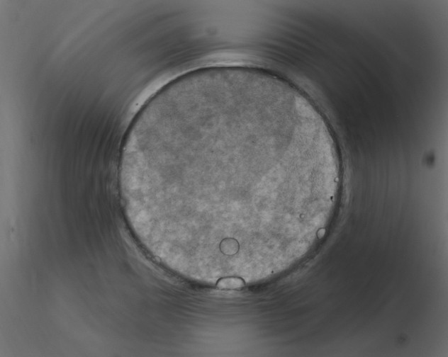 X0000115851465200912242027