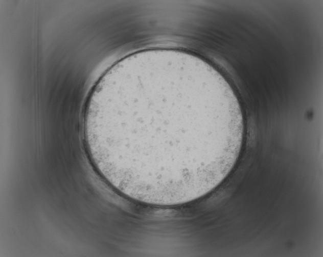 X0000115851467200912242027