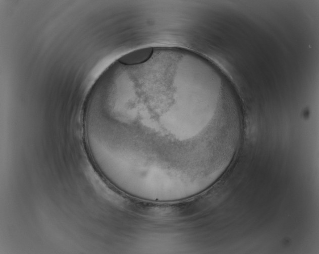 X0000115851468200912242027