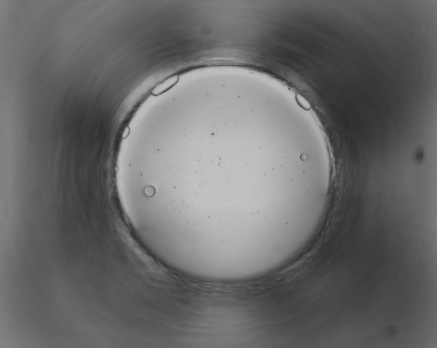 X0000115851469200912242027