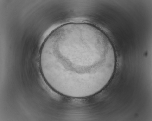 X0000115851470200912242027