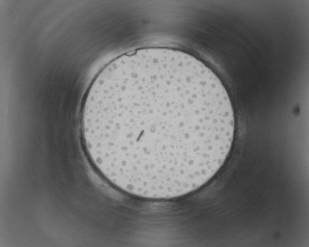 X0000115851471200912242027