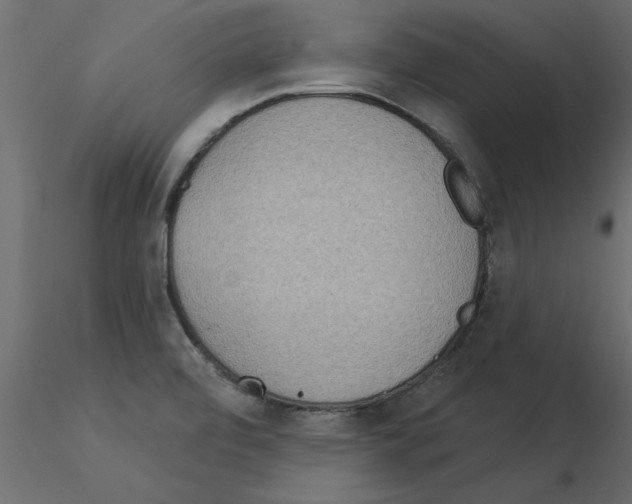 X0000115851472200912242027