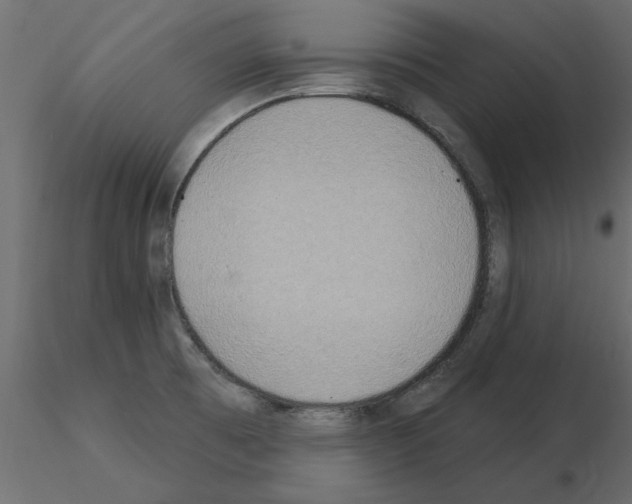 X0000115851473200912242027
