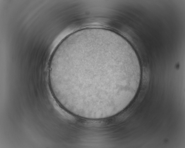 X0000115851474200912242027