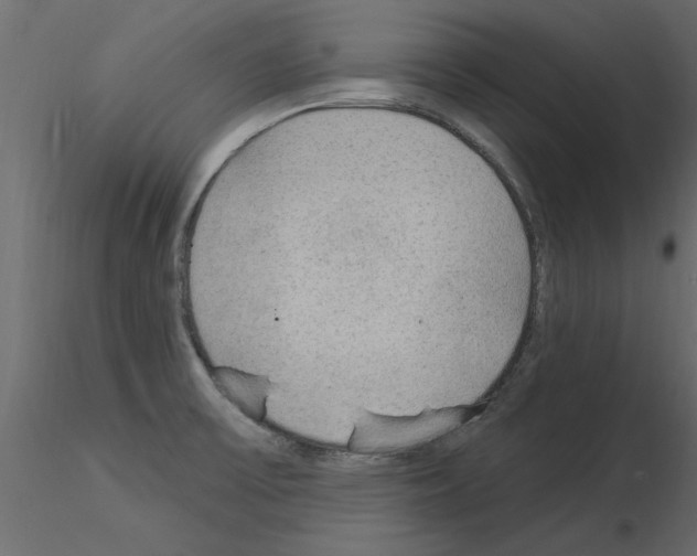 X0000115851475200912242027
