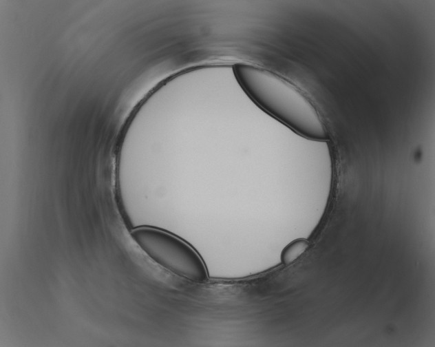 X0000115851476200912242027