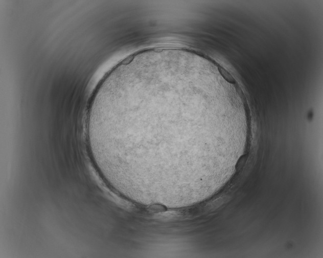 X0000115851477200912242027