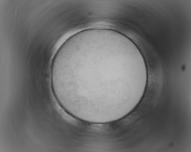 X0000115851478200912242027