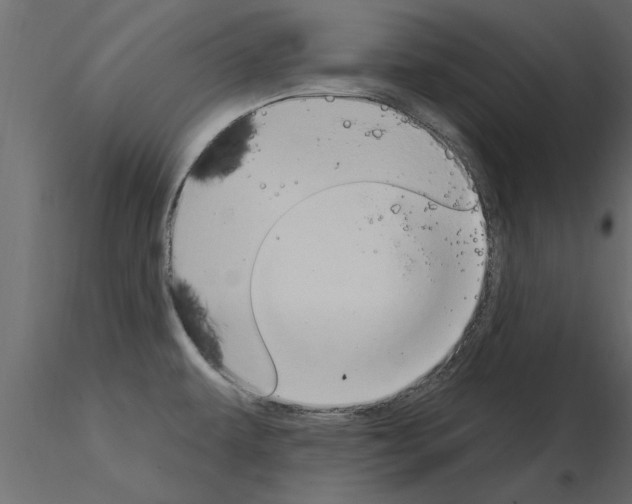 X0000115851479200912242027