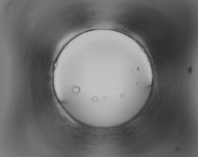 X0000115851480200912242027