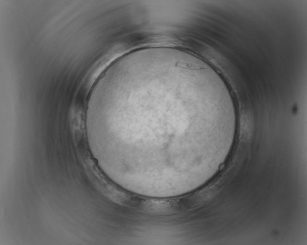 X0000115851481200912242027