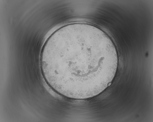 X0000115851482200912242027