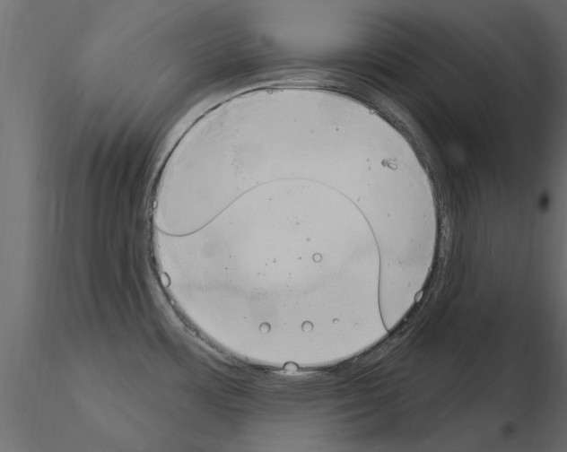 X0000115851483200912242027