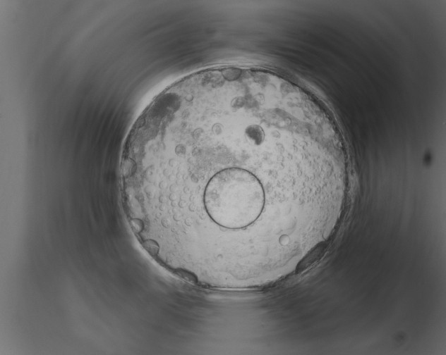X0000115851487200912242027