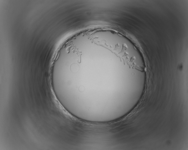 X0000115851488200912242027