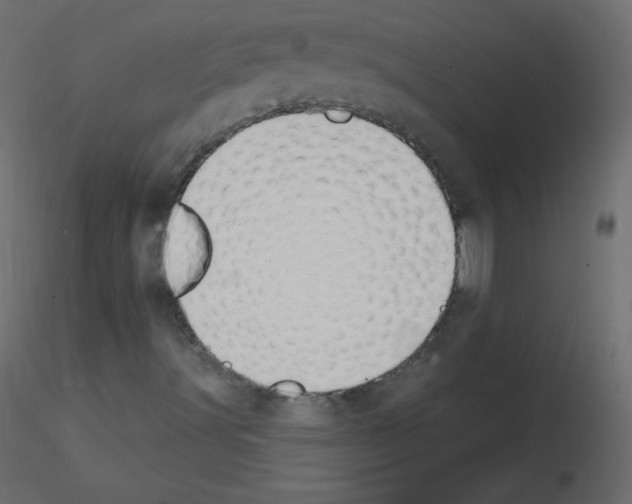 X0000115851491200912242026