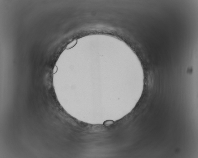 X0000115851493200912242026