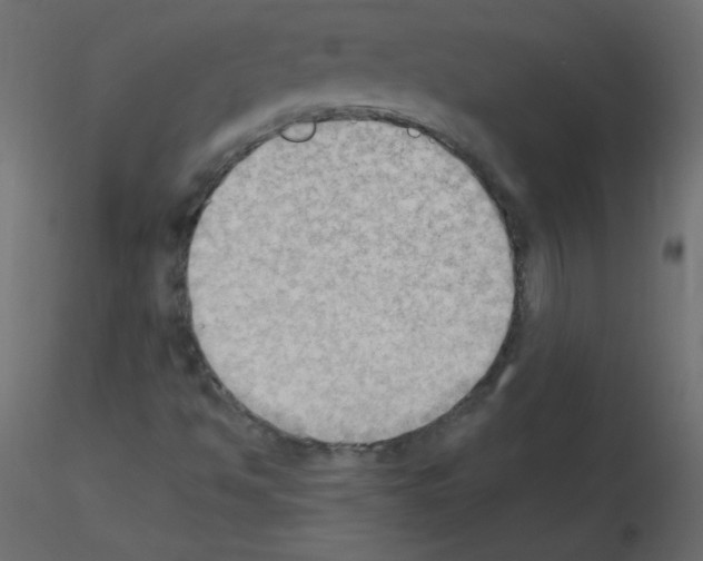 X0000115851494200912242026