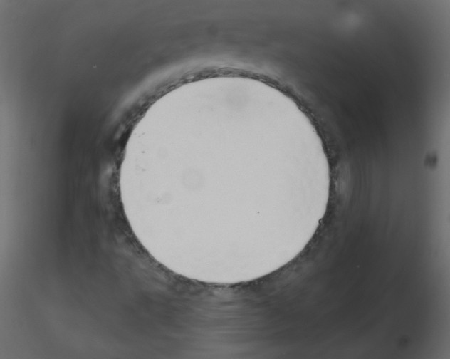 X0000115851495200912242026