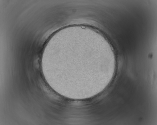 X0000115851497200912242027