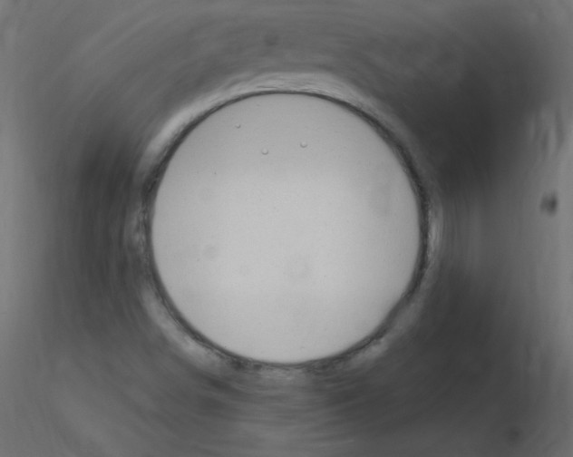 X0000115851498200912242027