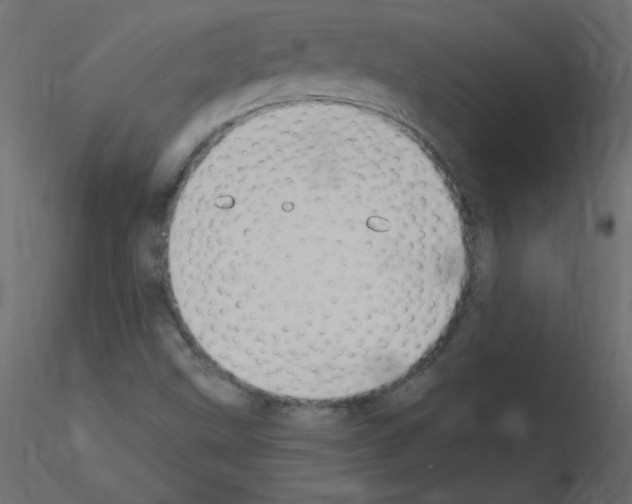 X0000115851499200912242027