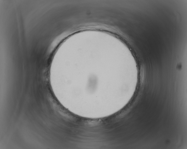 X0000115851501200912242027