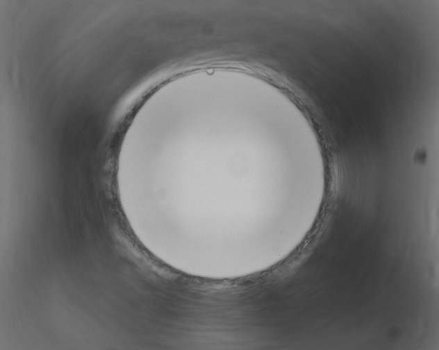 X0000115851502200912242027