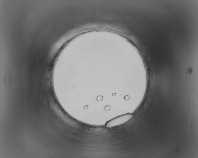 X0000115851503200912242027