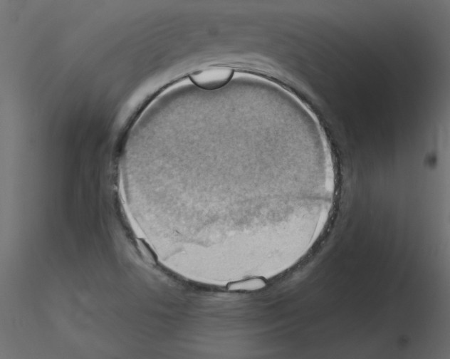 X0000115851506200912242027