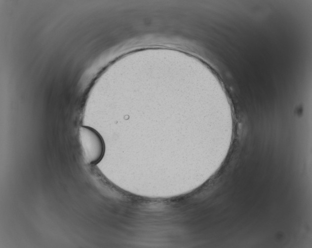 X0000115851507200912242027