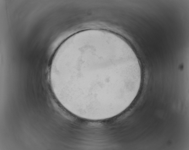 X0000115851509200912242027