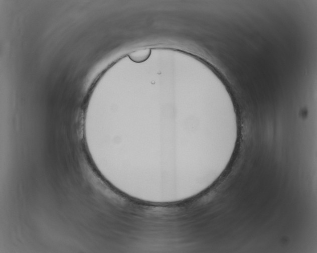 X0000115851510200912242027
