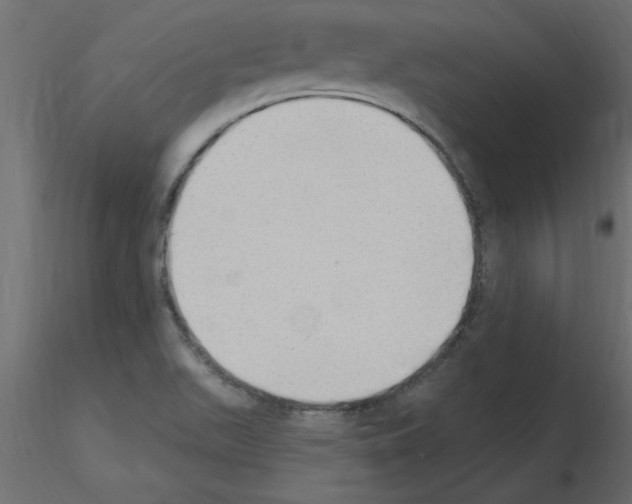 X0000115851511200912242027