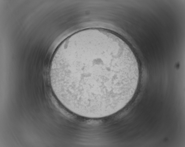 X0000115851513200912242027