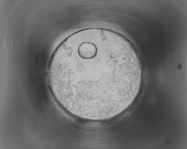 X0000115851517200912242027