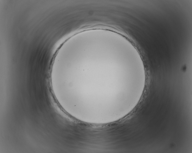 X0000115851518200912242027