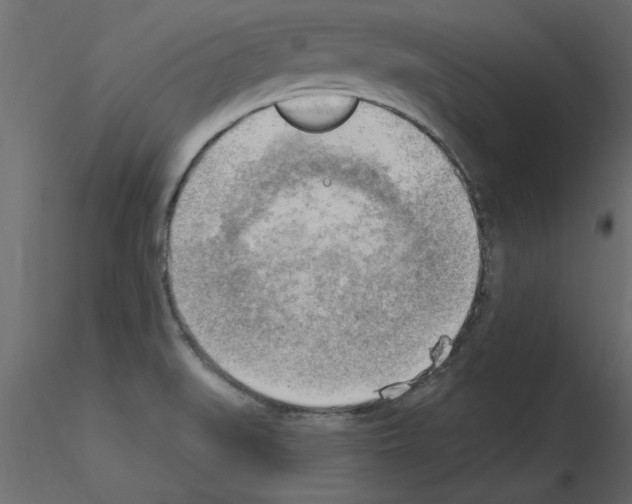 X0000115851519200912242027